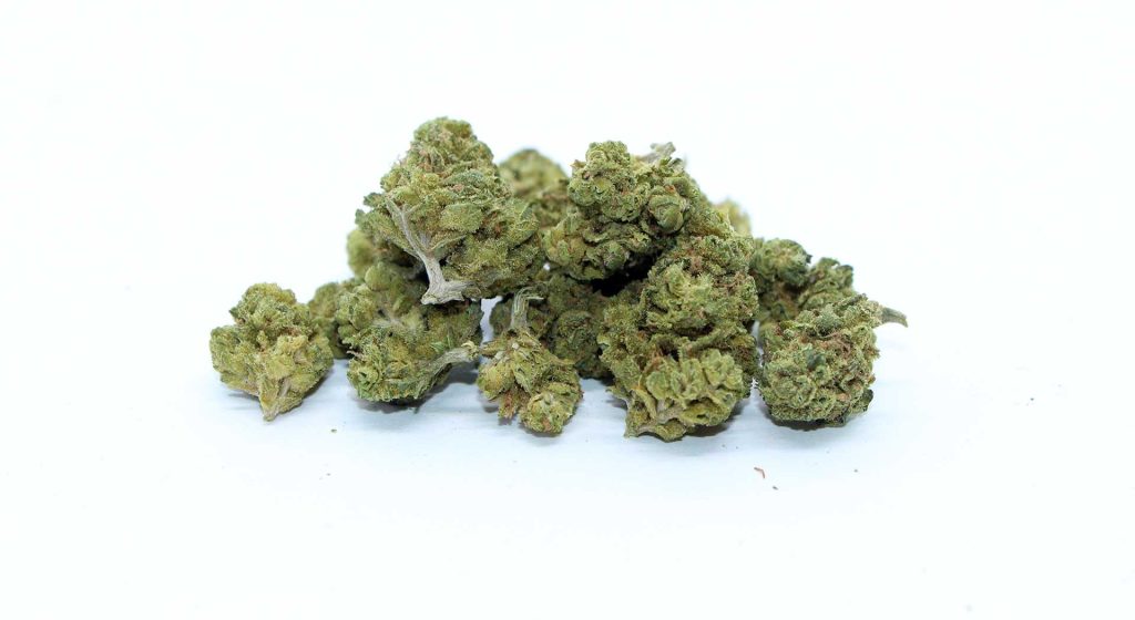 bingo sativa review cannabis photos 5 merry jade