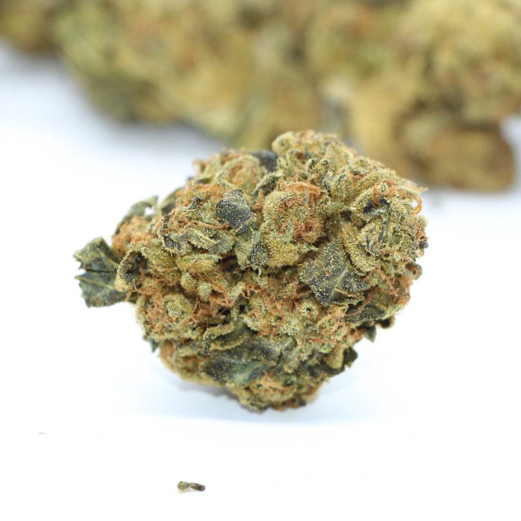 twd 28 indica review cannabis photos 4 merry jade