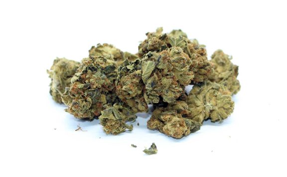 twd 28 indica review cannabis photos 5 merry jade