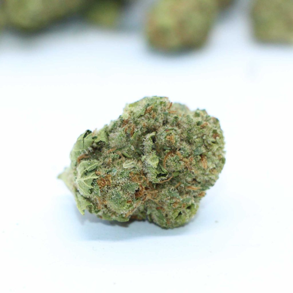 twd 28 sativa review cannabis photos 5 merry jade