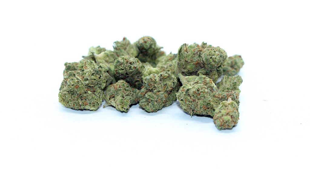 twd 28 sativa review cannabis photos 6 merry jade