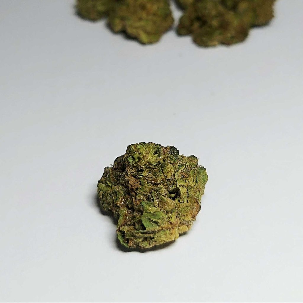 evidence nutter budder review cannabis photos 5 merry jade