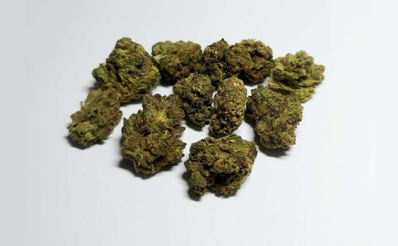 evidence nutter budder review cannabis photos 6 merry jade