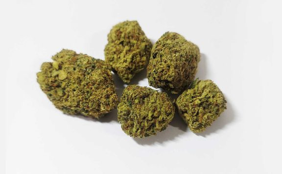 flower company jelly rancher review cannabis photos 6 merry jade