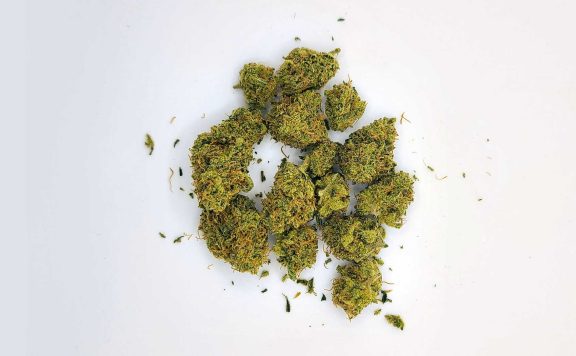 good buds mango taffie review cannabis photos 5 merry jade