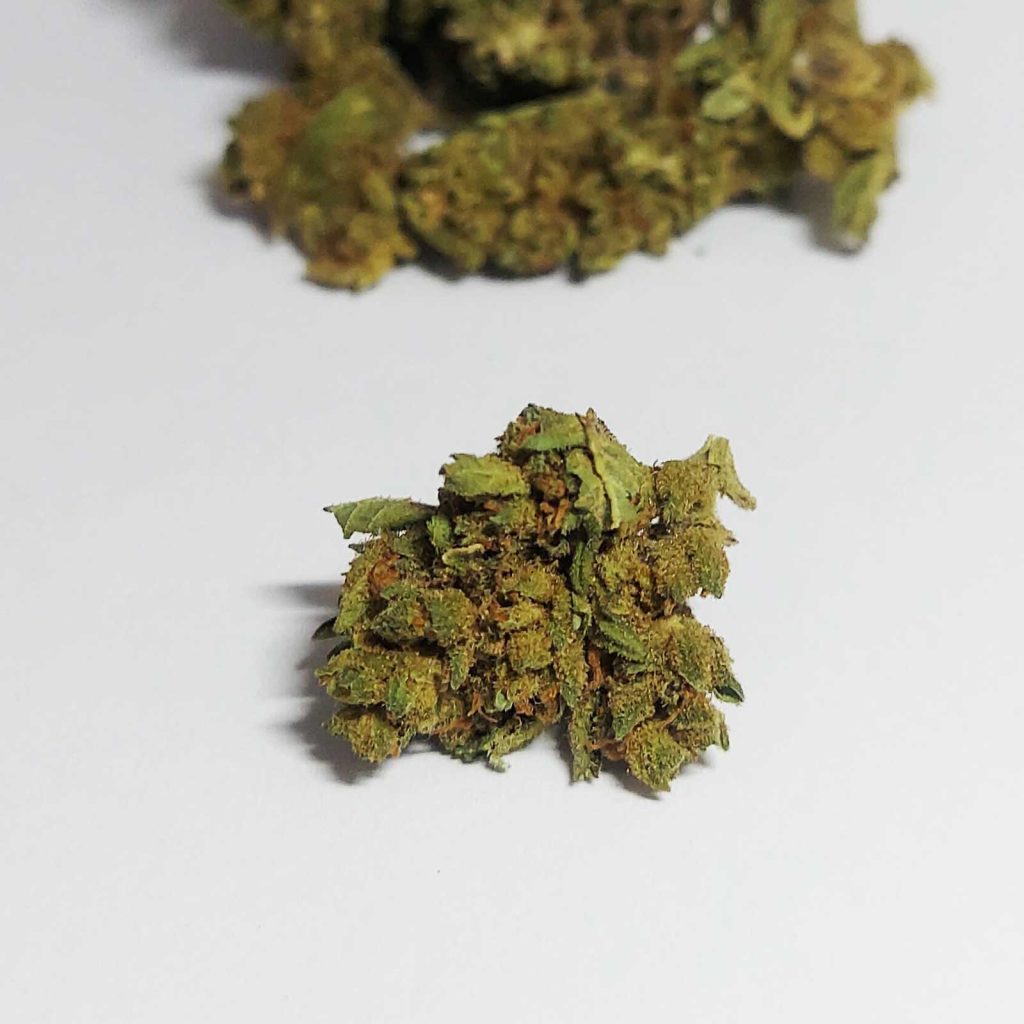 hightide sherblato review cannabis photos 5 merry jade