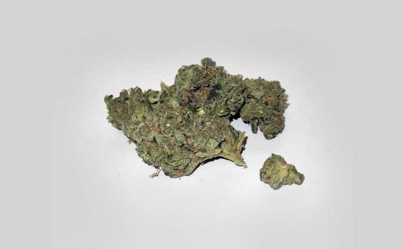palmetto platinum cookies review cannabis photos 5 merry jade