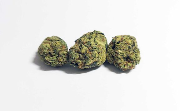 yadda yadda cherry do si do review cannabis photos 6 merry jade