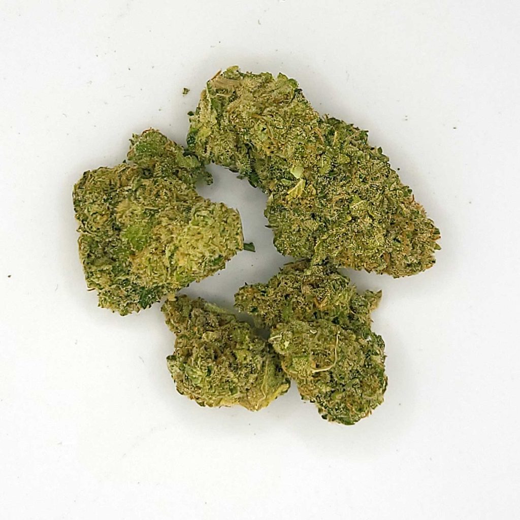 bc black victoria cannabis co mango mac review photos 3 merry jade