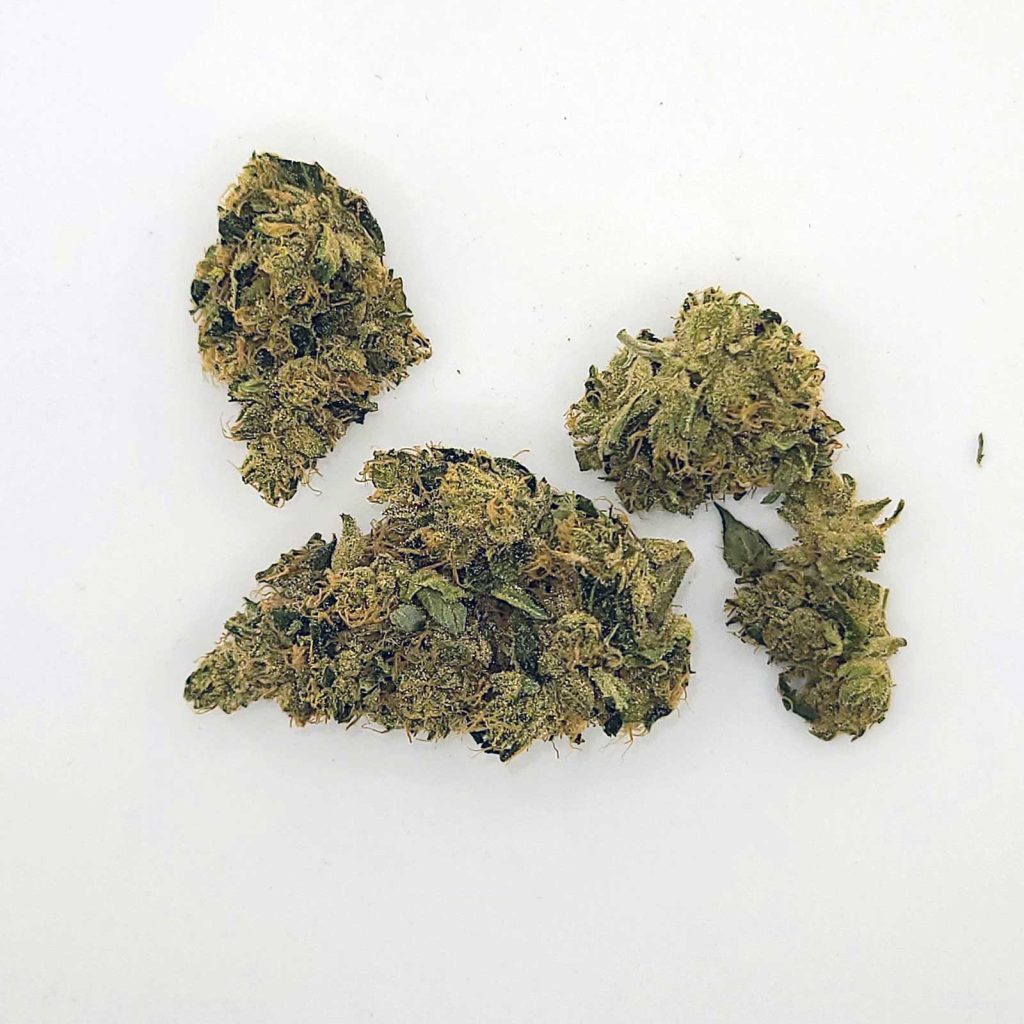 coast mountain cannabis bc organic pemberton pink review photos 3 merry jade