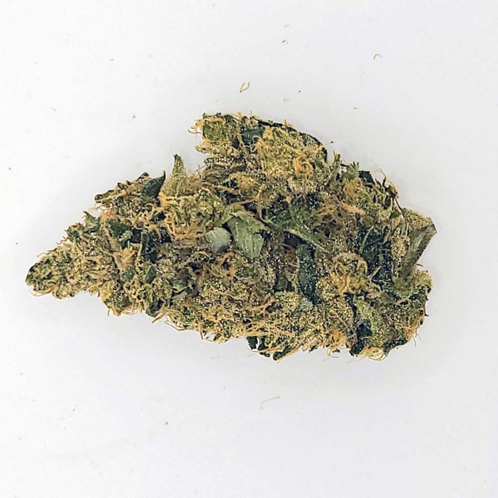 coast mountain cannabis bc organic pemberton pink review photos 4 merry jade
