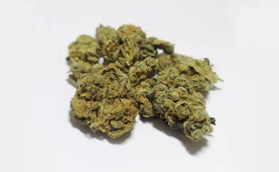 deli weed gmo garlic cookies review cannabis photos 6 merry jade