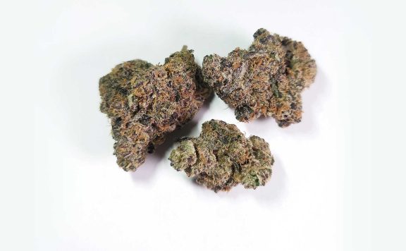 skunk brothers gobstoppers review cannabis photos 7 merry jade