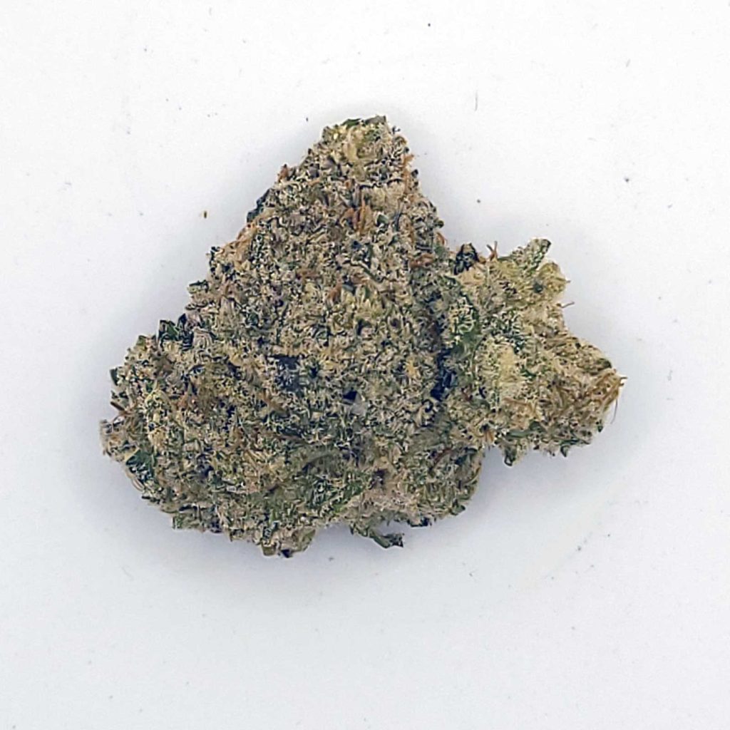 fresh alien jelly review cannabis photos 3 merry jade