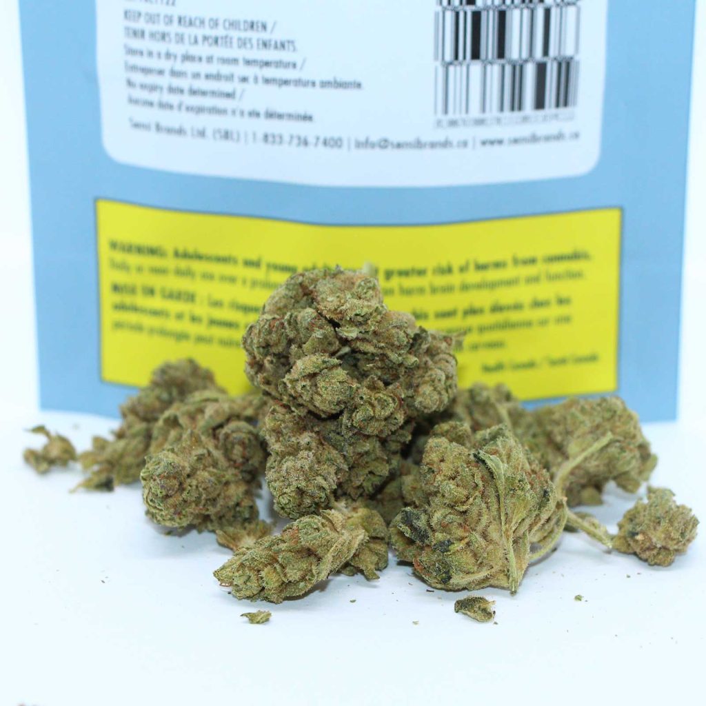 potluck frosted cherry review cannabis photos 3 merry jade