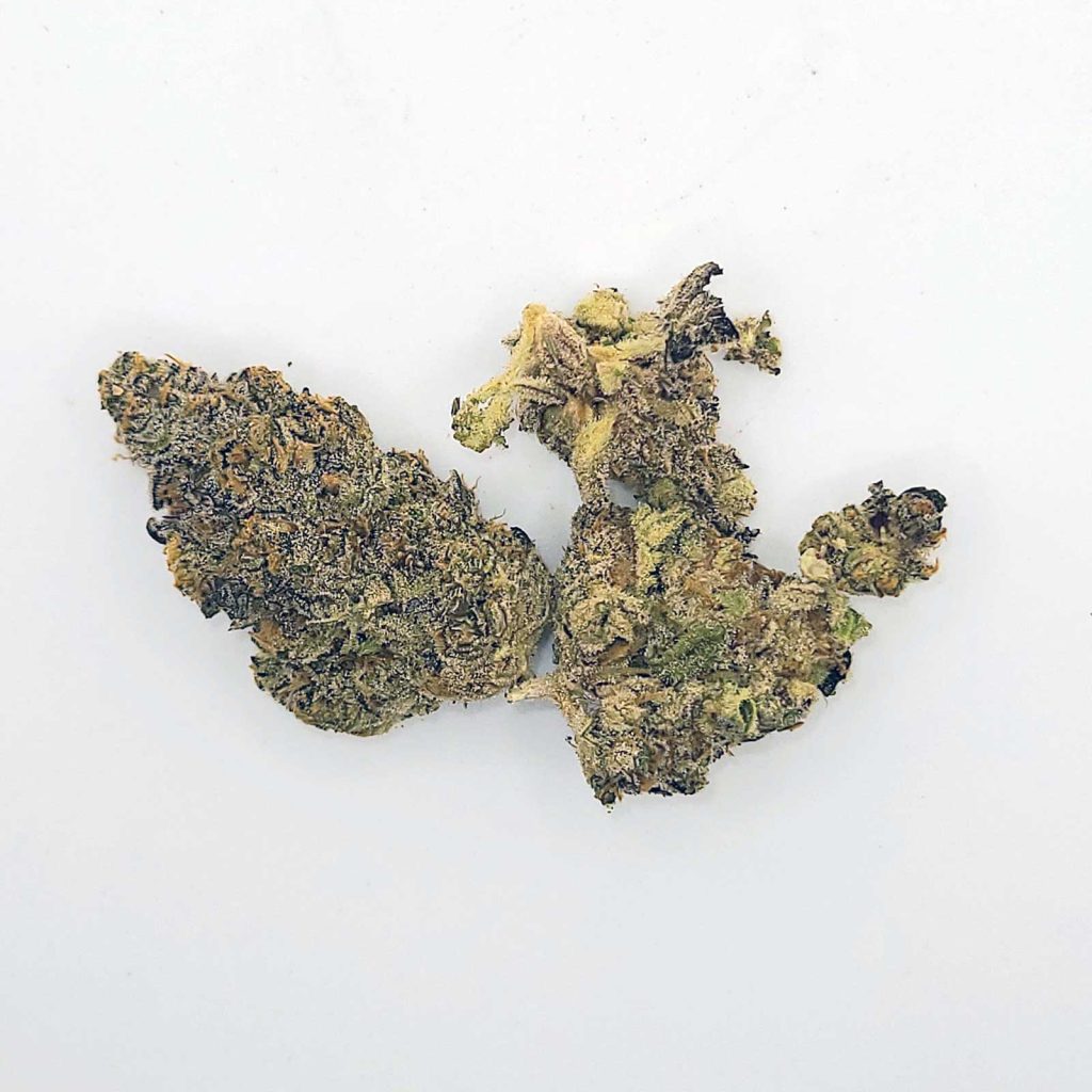 broken coast platinum garlic review cannabis photos 3 merry jade
