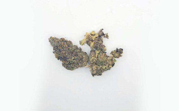 broken coast platinum garlic review cannabis photos 5 merry jade