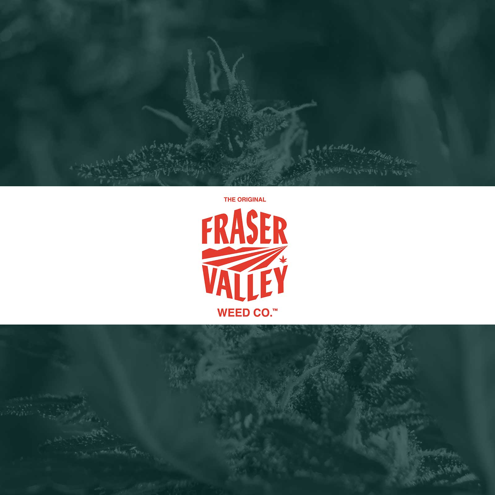 The Original Fraser Valley Weed Co.