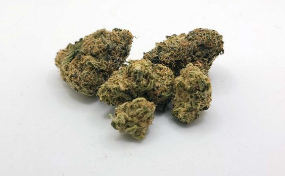pistol and paris orange tingz review cannabis photos 6 merry jade