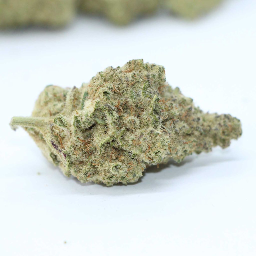 the original fraser valley weed co mac 1 review photos 5 merry jade