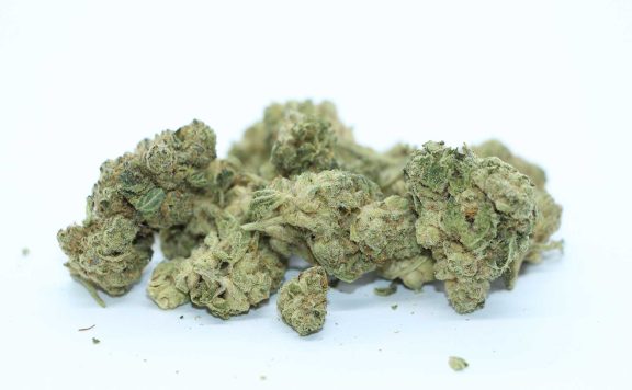 versus bc god bud review cannabis photos 7 merry jade