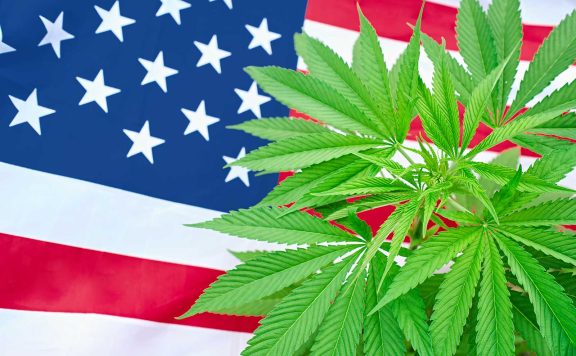 What is the Marihuana Tax Act of 1937