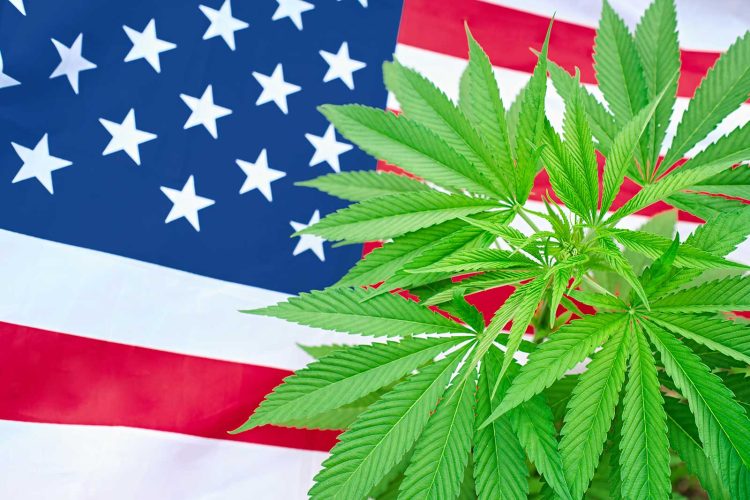 What is the Marihuana Tax Act of 1937