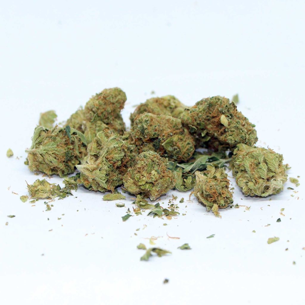 citizen stash jungle breath review cannabis photos 4 merry jade