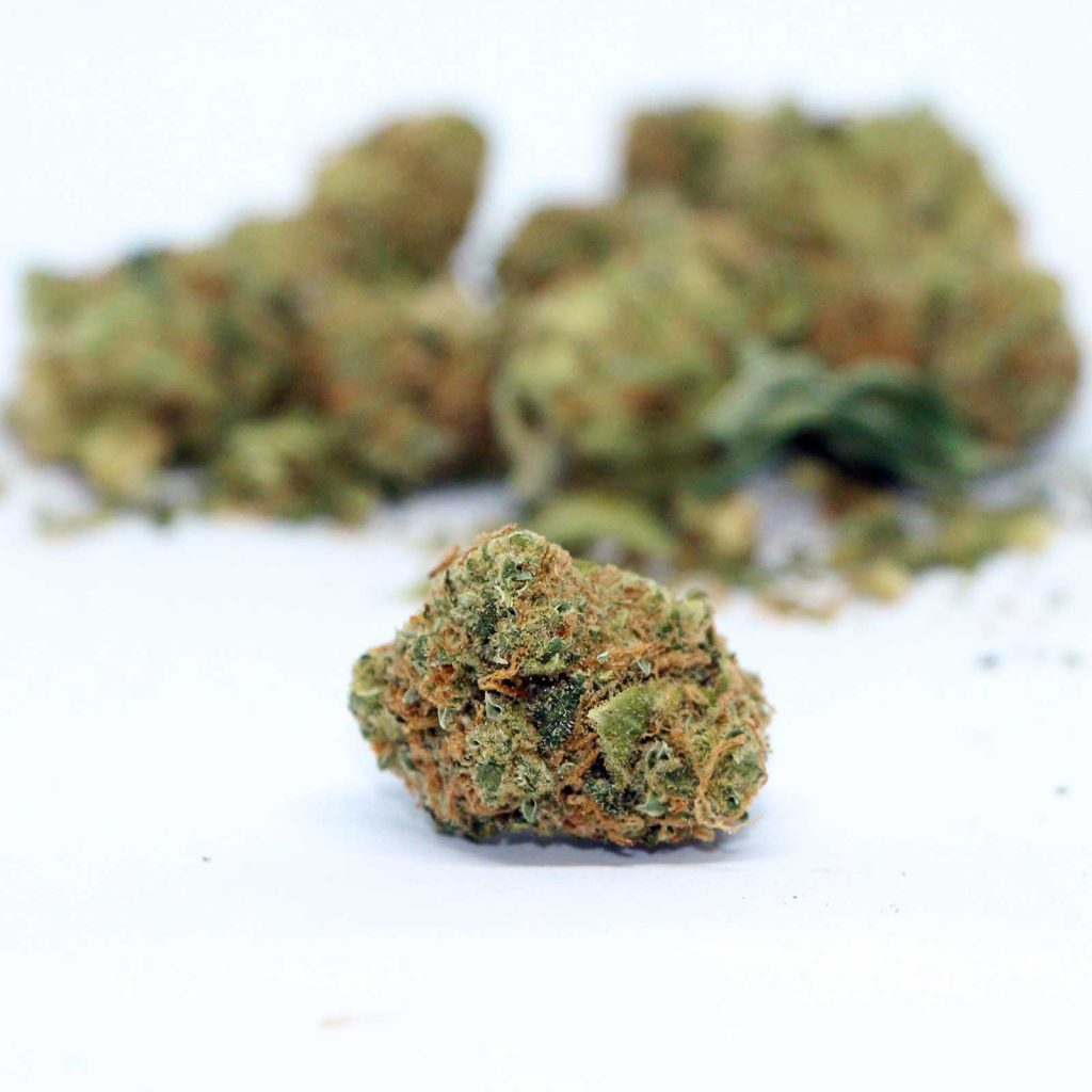 citizen stash jungle breath review cannabis photos 5 merry jade