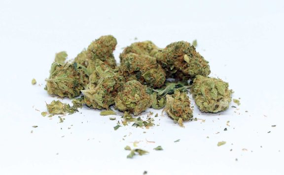 citizen stash jungle breath review cannabis photos 7 merry jade