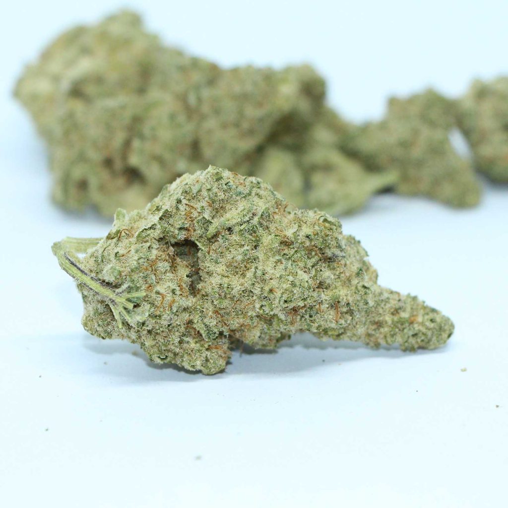 original fraser valley weed co bc sour kush review cannabis photos 5 merry jade