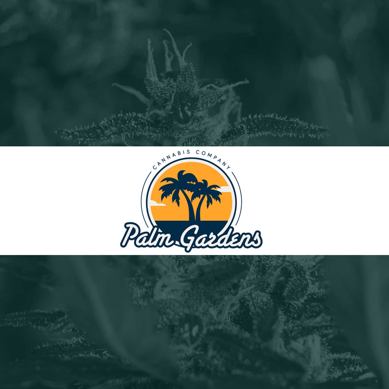 Palm Gardens Cannabis Co.