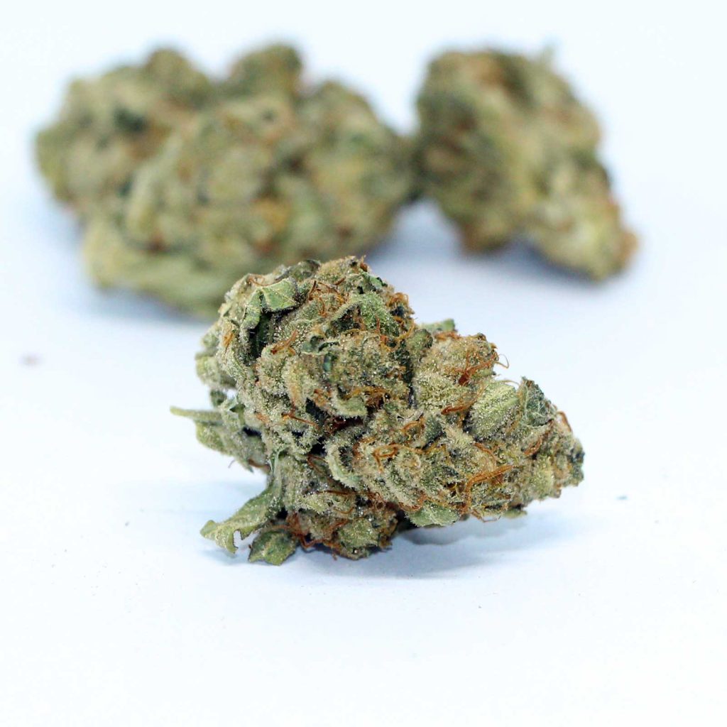 the green organic dutchman tgod gold butter mac review cannabis photos 5 merry jade