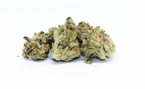 the green organic dutchman tgod gold butter mac review cannabis photos 7 merry jade
