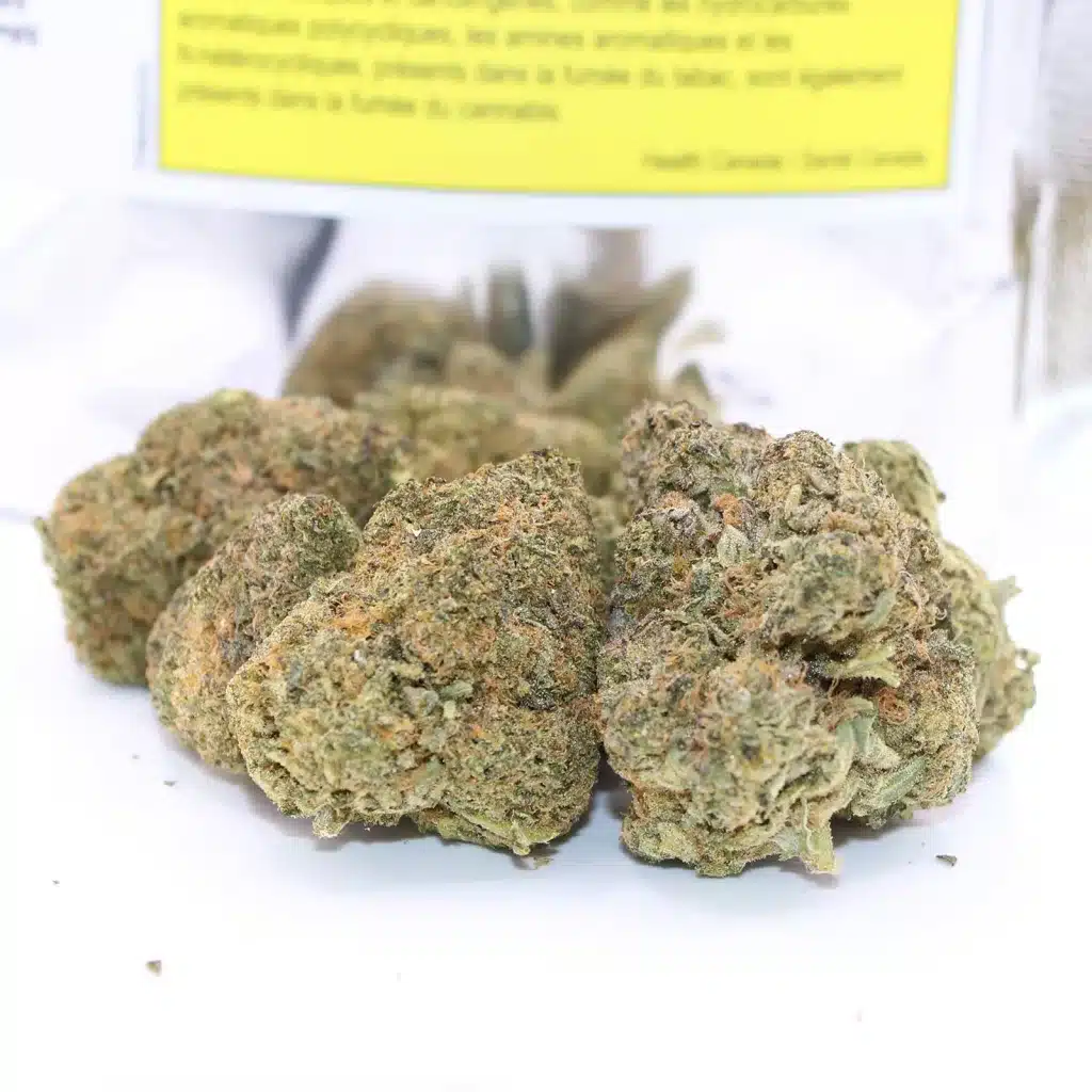 big bag o buds dough lato review cannabis photos 3 merry jade
