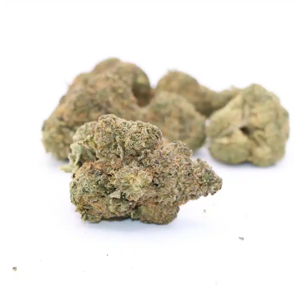 big bag o buds dough lato review cannabis photos 5 merry jade