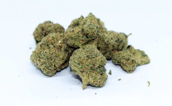 big bag o buds pink cookies review cannabis photos 7 merry jade