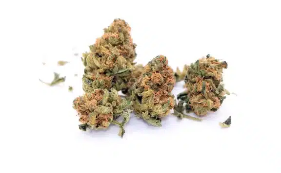 figr mandarin cookies review cannabis photos 8 merry jade