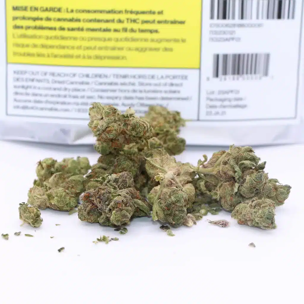 back forty apple fritter review cannabis photos 3 merry jade