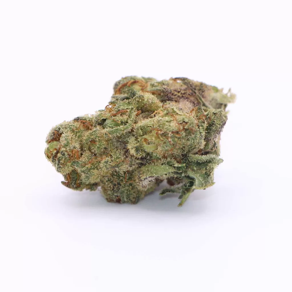 back forty apple fritter review cannabis photos 6 merry jade