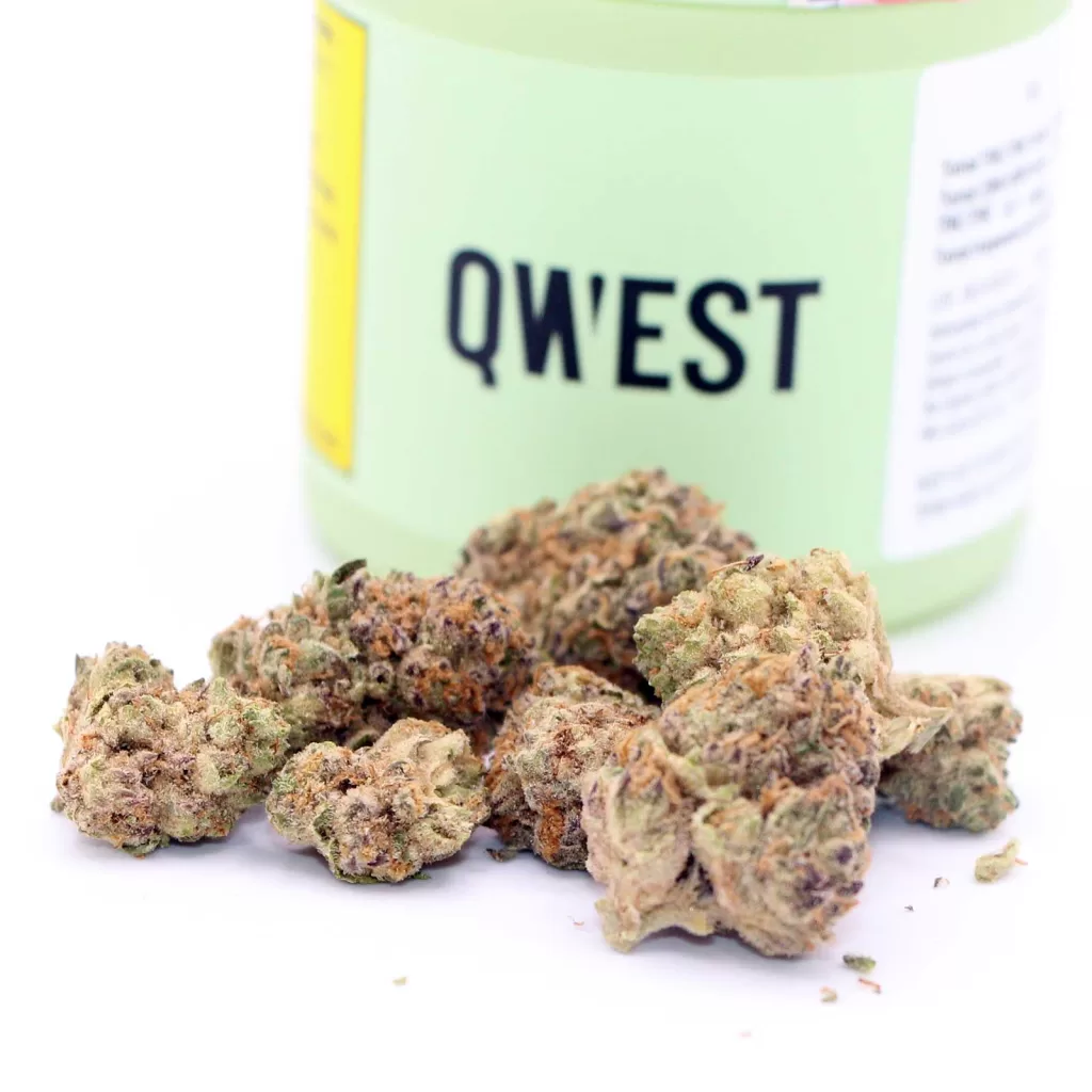 qwest tko review cannabis photos 3 merry jade