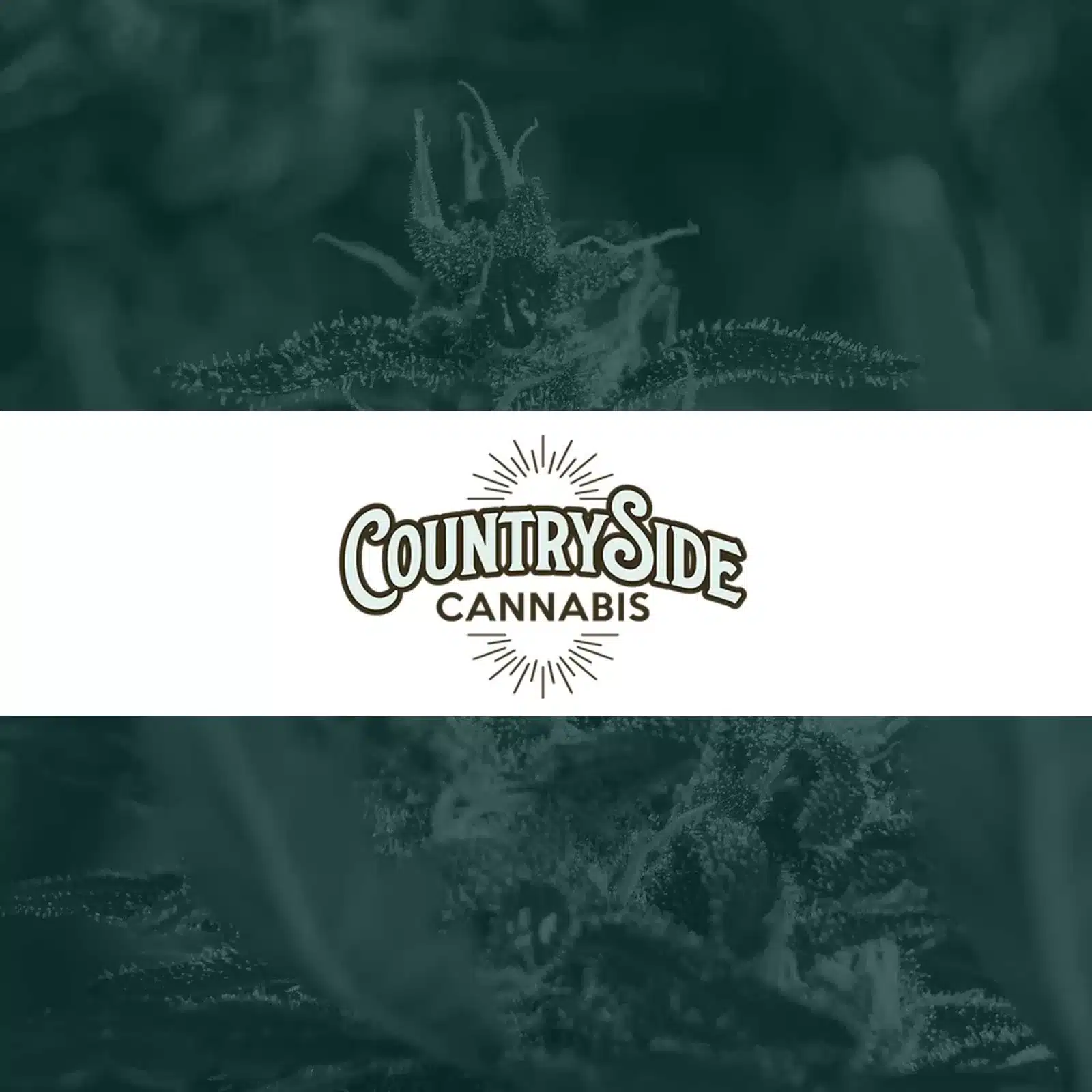 Countryside Cannabis