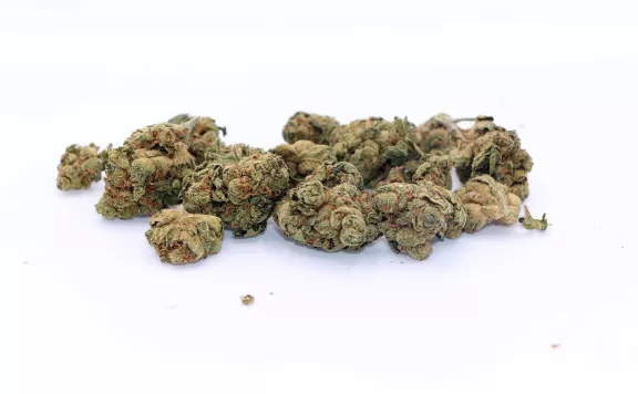 liiv thc bomb review cannabis photos 7 merry jade