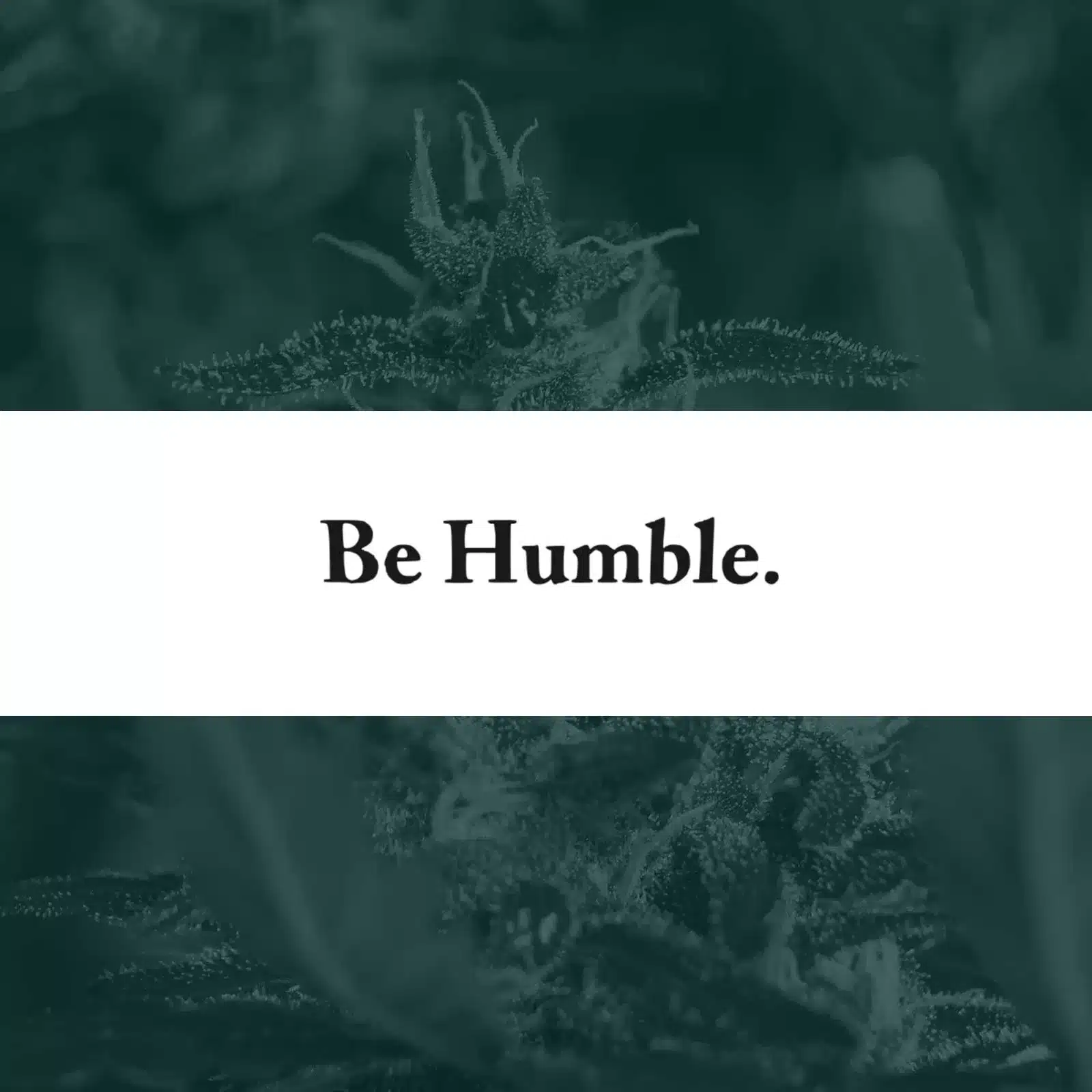 Be Humble