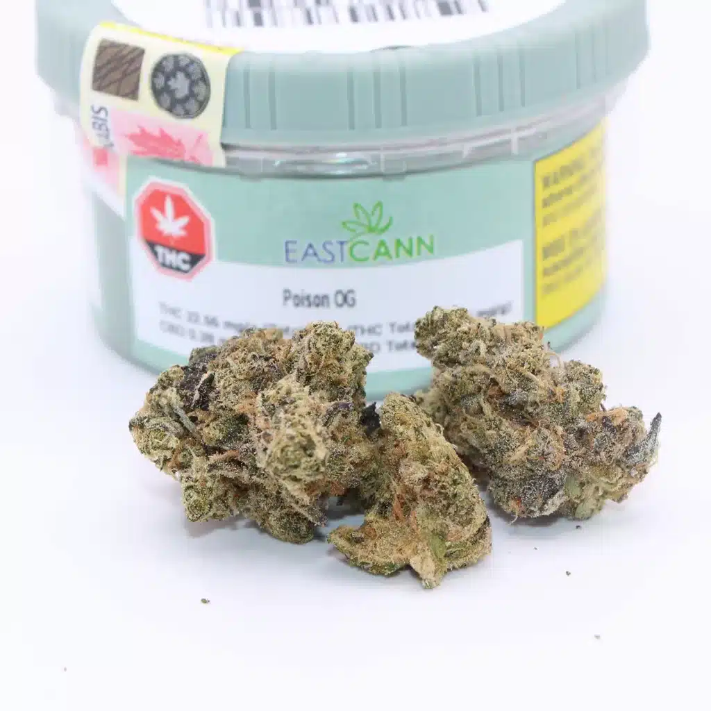 eastcann poison og review cannabis photos 3 merry jade