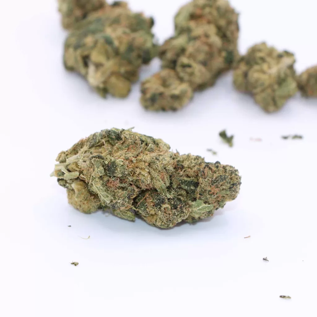 versus bc purple kush review cannabis photos 5 merry jade