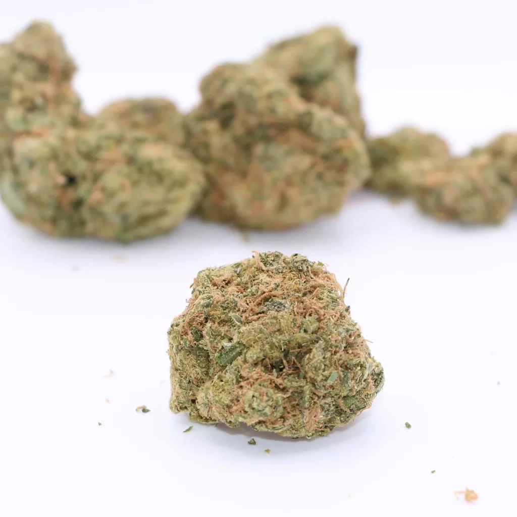versus sweet island skunk review cannabis photos 6 merry jade